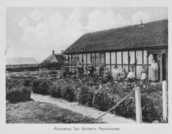 rosemary-tea-gardens